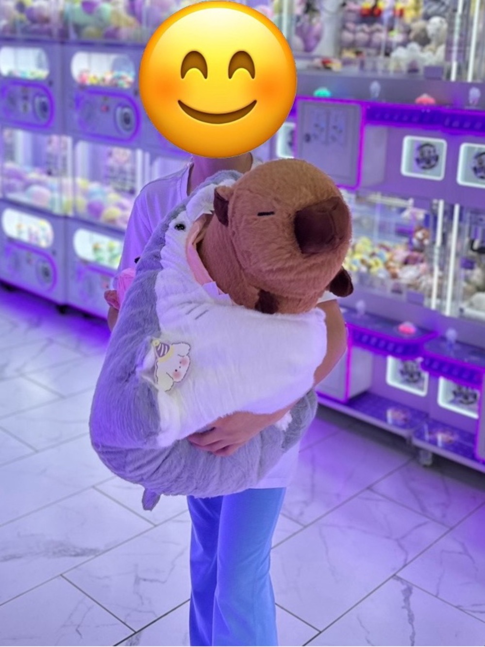 Big Shark Capybara plush